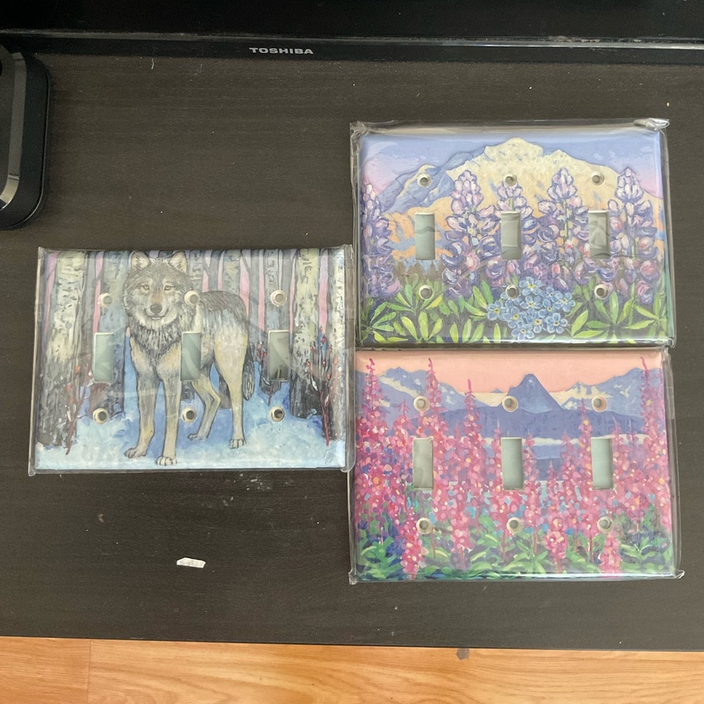 Handmade light switch covers🕊️